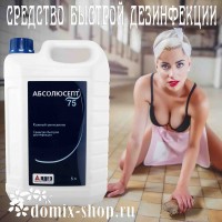 АЛДЕЗ  АБСОЛЮСЕПТ 75, 5л