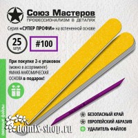 Сменные файлы для основы-пилки СОЮЗ МАСТЕРОВ ЕвроЛОНГ, гритность 100, 25 шт